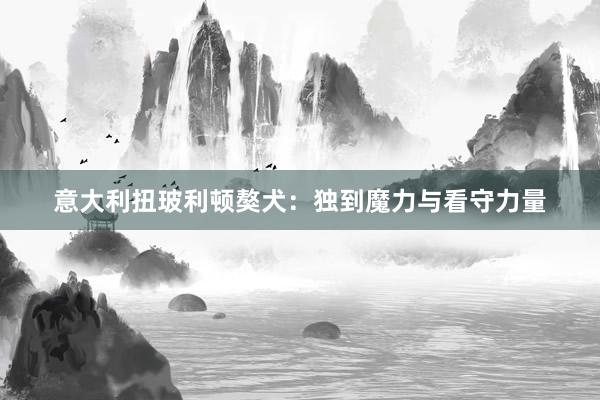 意大利扭玻利顿獒犬：独到魔力与看守力量
